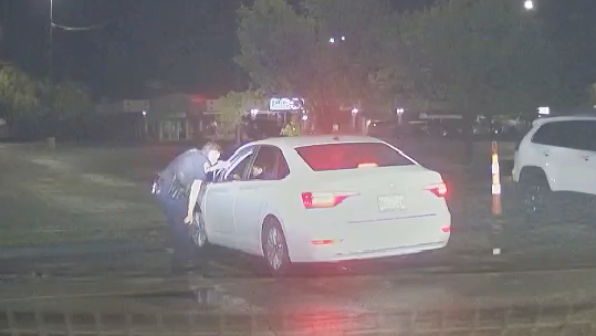 Creve Coeur immigration arrest